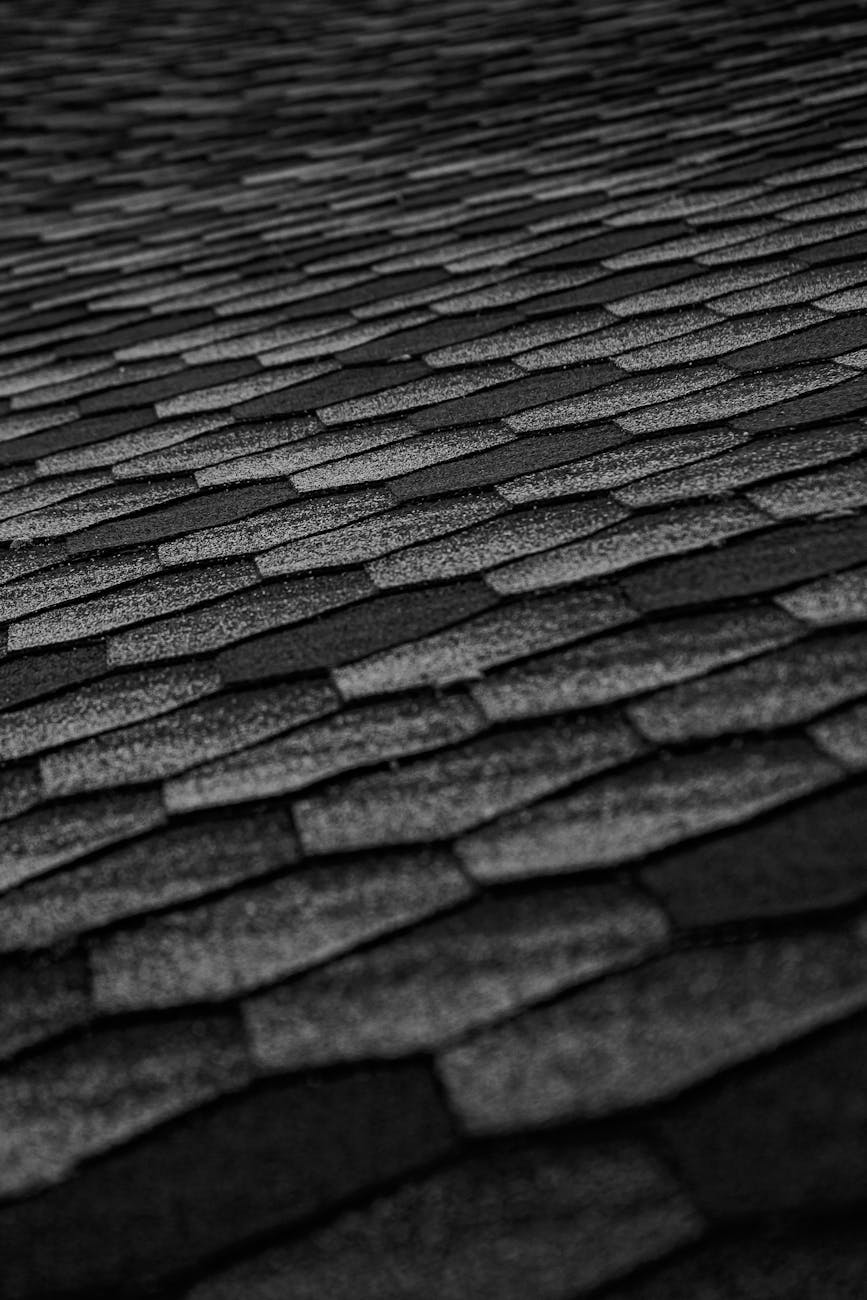 Close-up of roof shingle texture